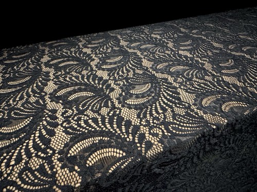 Stretch spandex lace - spandex,
